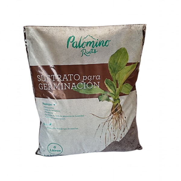 germinación
