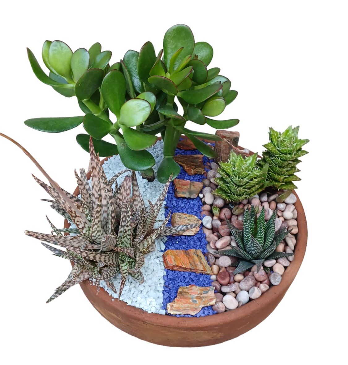 Terrrario