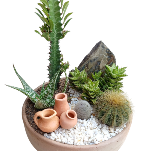 Terrario