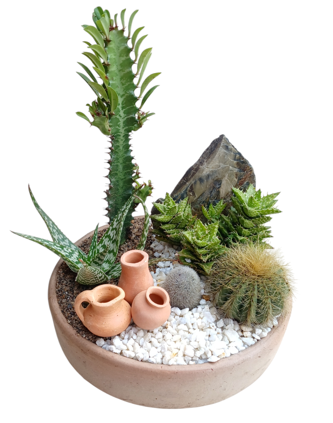 Terrario