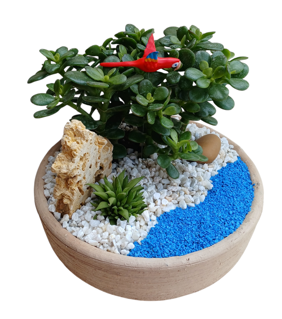 Terrario